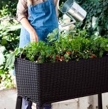 ערוגה איזי גרו 120 KETER Easy Growing