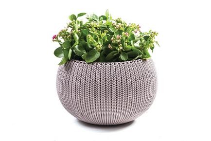 עציץ קוזי TAKE IT דגם 36 כתר